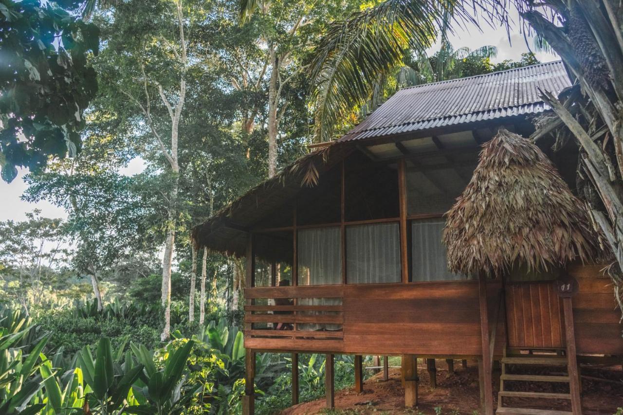Wasai Tambopata Lodge Exterior photo